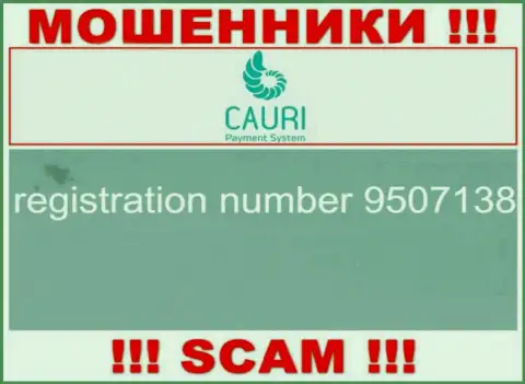 Регистрационный номер, принадлежащий мошеннической конторе Каури Ком: 9507138