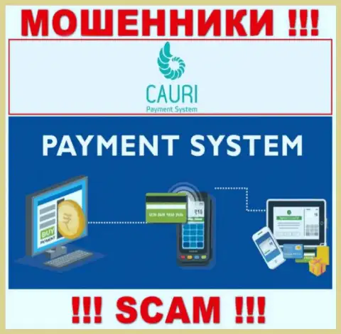 Шулера Cauri Com, прокручивая свои делишки в сфере Payment system, дурачат доверчивых людей