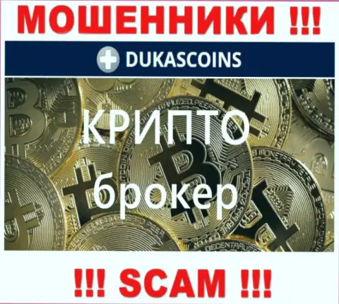 Вид деятельности мошенников ДукасКоин - это Crypto trading, но имейте ввиду это разводняк !!!