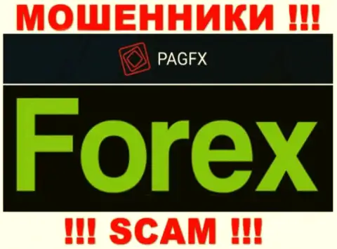PagFX оставляют без денег доверчивых людей, действуя в области Форекс