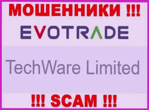 Юр. лицом Evo Trade является - TechWare Limited