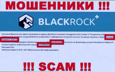 Black Rock Plus прячут свою мошенническую суть, показывая у себя на сайте номер лицензии на осуществление деятельности