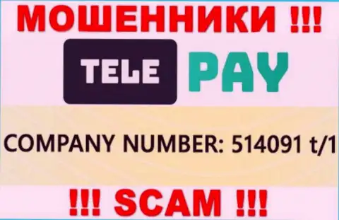 Рег. номер ТелеПэй, который указан мошенниками у них на сайте: 514091 t/1