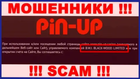 Мошенники Пин АпКазино принадлежат юр. лицу - B.W.I. BLACK-WOOD LIMITED