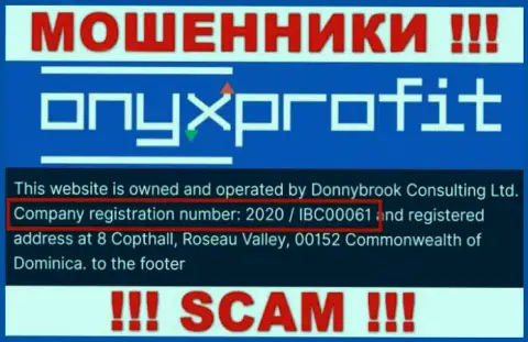 Номер регистрации, который присвоен компании Оникс Профит - 2020 / IBC00061