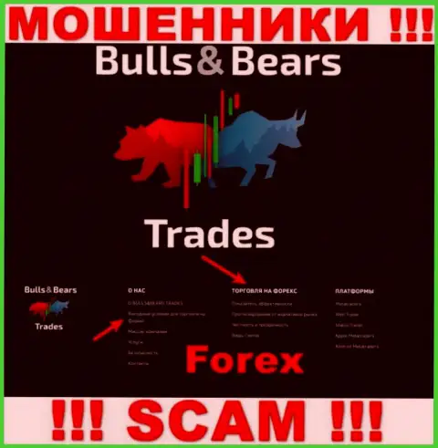 С BullsBears Trades, которые работают в области ФОРЕКС, не заработаете - обман
