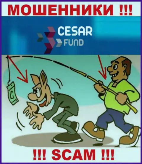 Аферисты Cesar Fund на стадии поиска очередных доверчивых людей
