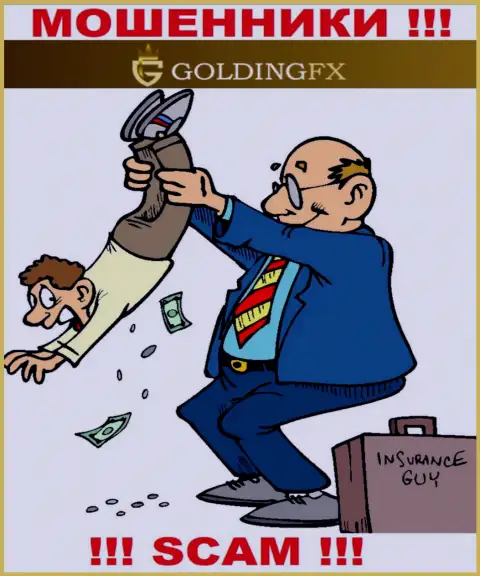 СЛИШКОМ ОПАСНО иметь дело с конторой GoldingFX Net, указанные интернет-разводилы постоянно отжимают финансовые вложения валютных игроков