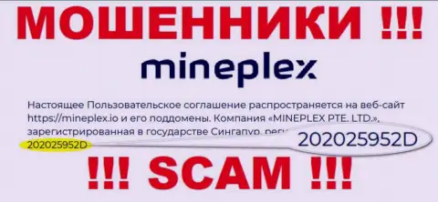 Номер регистрации еще одной незаконно действующей организации MinePlex Io - 202025952D