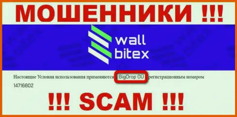 WallBitex - это АФЕРИСТЫ !!! Управляет данным лохотроном BigDrop OÜ
