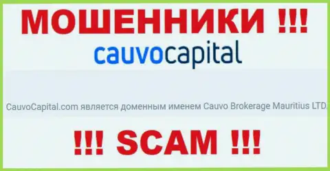 Мошенники Cauvo Capital принадлежат юр лицу - Cauvo Brokerage Mauritius LTD