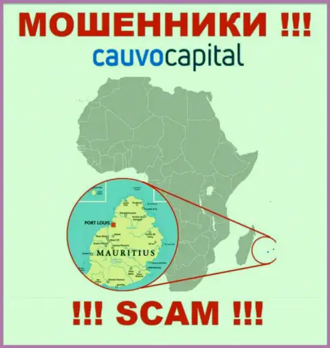 Контора CauvoCapital Com прикарманивает финансовые вложения людей, зарегистрировавшись в оффшоре - Mauritius