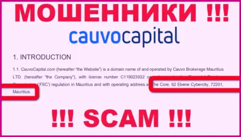 Невозможно забрать финансовые средства у компании CauvoCapital - они пустили корни в офшоре по адресу: The Core, 62 Ebene Cybercity, 72201, Mauritius