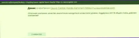 Организация Cauvo Capital представлена в честном отзыве на web-портале Ревокон Ру