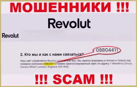Будьте крайне бдительны, присутствие номера регистрации у конторы Revolut (08804411) может оказаться приманкой