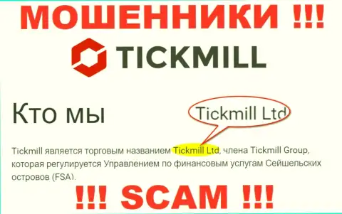 Опасайтесь internet-воров Tickmill - наличие данных о юридическом лице Тикмилл Лтд не сделает их добросовестными